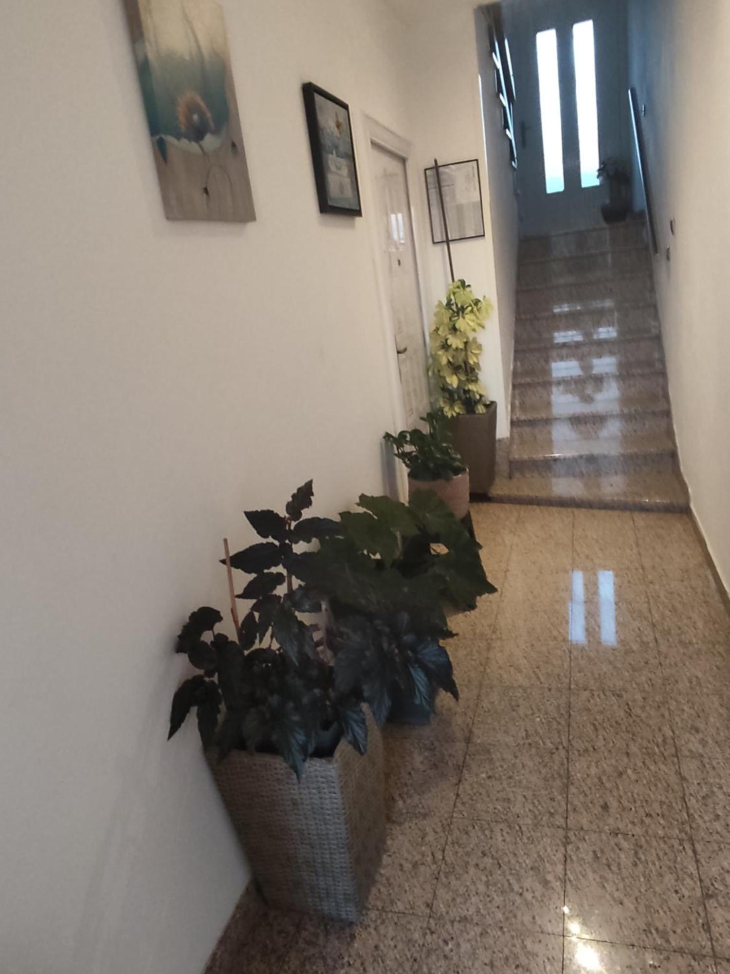 Dalmati House Hotel Brodarica  Exterior foto